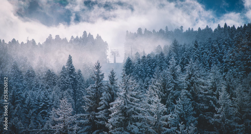Fir trees under the snow. Mountain forest in winter. Christmas landscape. The path in the snow. 