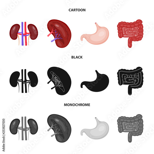 Isolated object of biology and scientific sign. Set of biology and laboratory vector icon for stock.