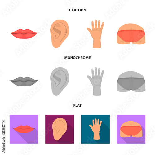 Vector design of body and part icon. Collection of body and anatomy stock vector illustration.