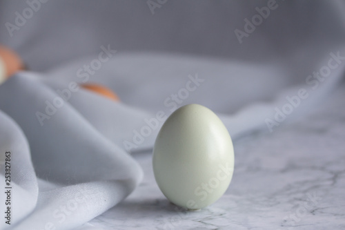 gray egg
