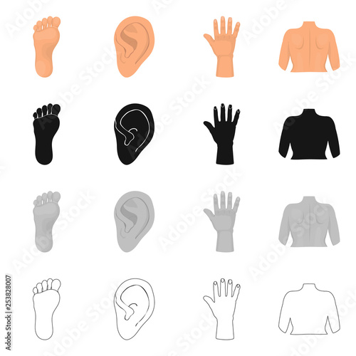 Vector design of body and part icon. Collection of body and anatomy stock symbol for web.