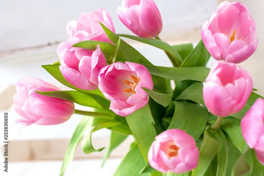 Strauss pinkfarbener Tulpen-Frühlingsblumen