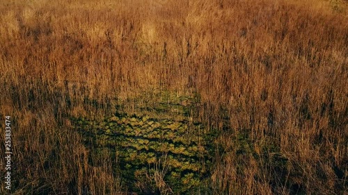 drone in volo steppa