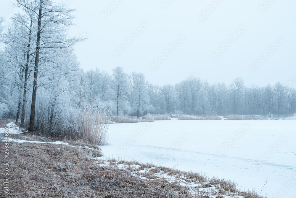Ufer eines See im Winter Ufer eines See im Winter
