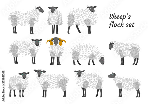 Sheep vector set flock group with cute funny cartoon characters. Lamb poddy ewe jumbuck mutton childish infantile. Comic comical decoration textile fabric cloth. 