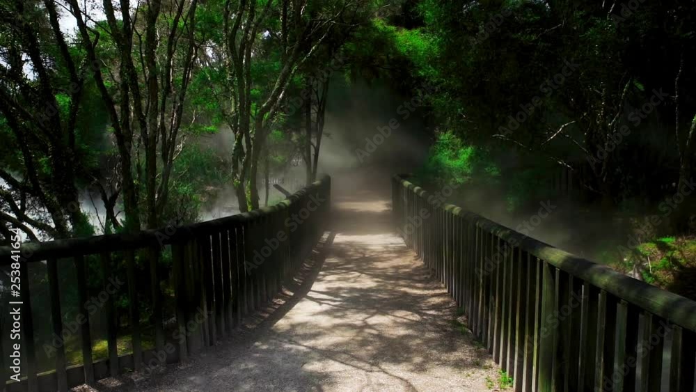 Misty, foggy hotsprings. moody and tropical vibes, form Rotorua hotsprings in New Zealand. walking into the mist from the hot water. Misty, foggy hotsprings. moody and tropical vibes, form Rotorua hotsprings in New Zealand. walking into the mist from the hot water.