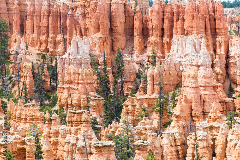 Beautiful rock formations in Bryce Canyon National park. Travel and adventure concept.