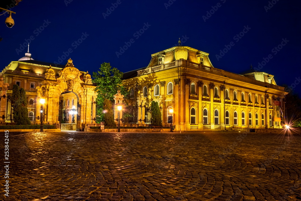 Buildings near Royal palace of Buda at night, Budapest, Hungary