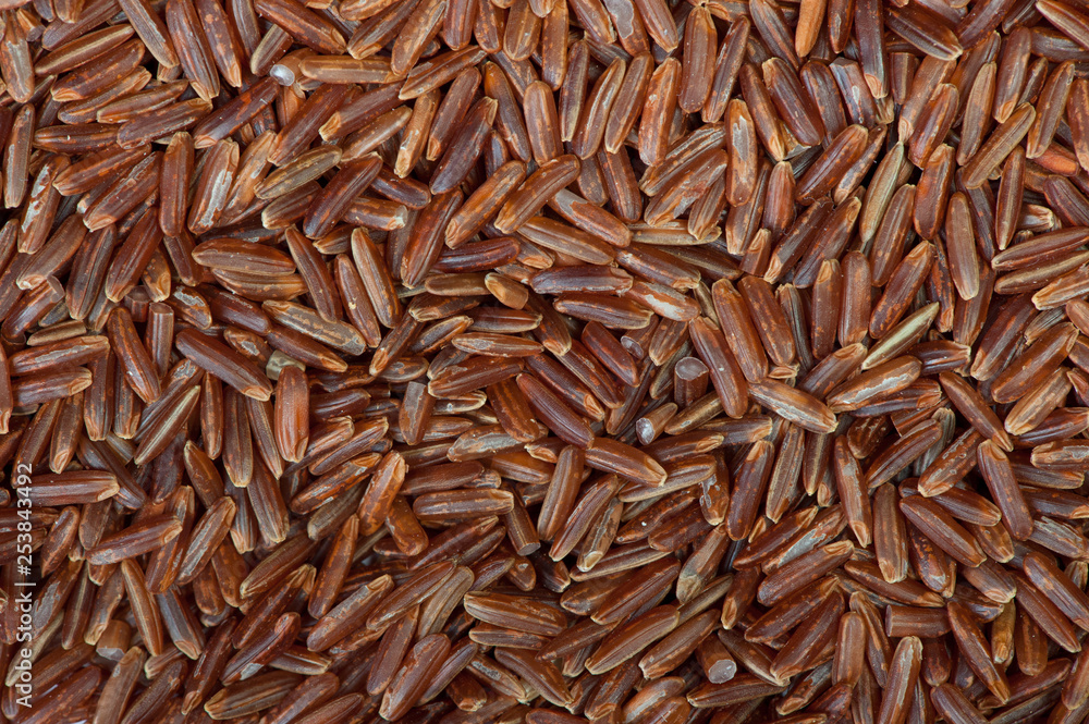 Surface covered with the red rice Surface covered with the red rice