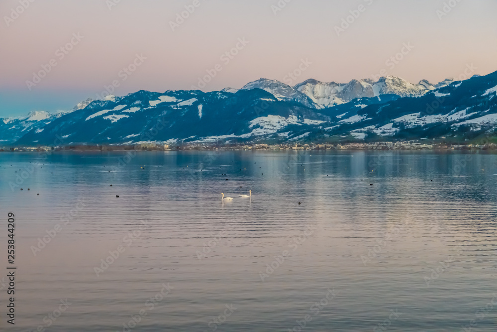 Landscapes along the shores of the Upper Zurich Lake (Obersee) between the villgae of Hurden (Seedam, Schwyz) and Rapperswil (Sankt Gallen), Switzerland