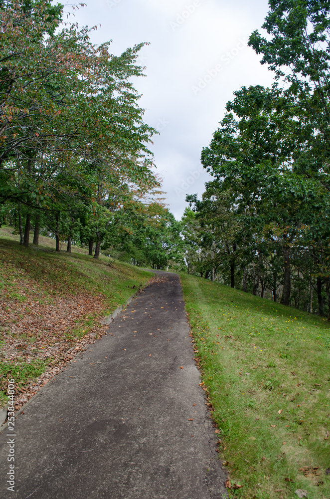 公園の道