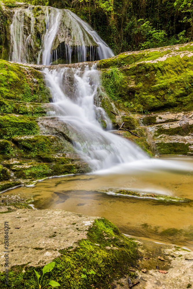 Fototapeta premium Creek with a little waterfall in the wilderness.
