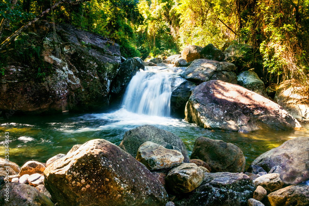 Fototapeta premium waterfall in forest