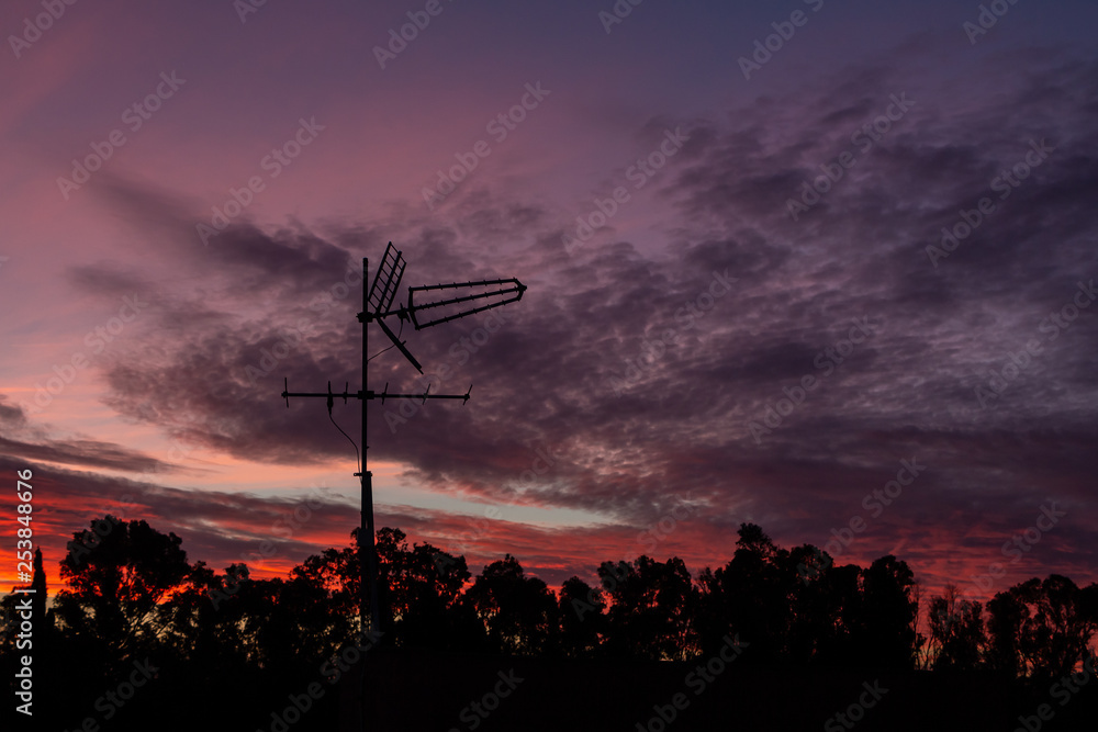Obraz premium There is a black metallic television antenna and a group of black trees on the beautiful red colorful sunset sky background