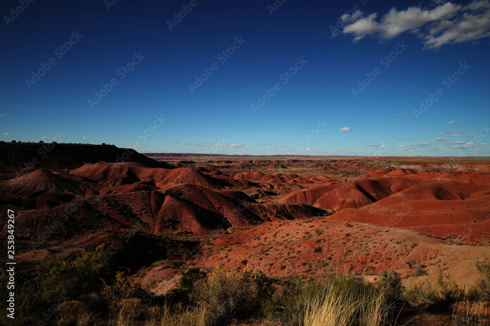 Landscape of Painted Desert, Holbrook Arizona