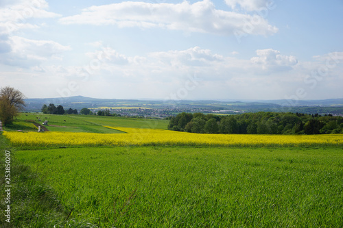 Weiterblick in die Landschaft mit Wiese und Rapsfeld