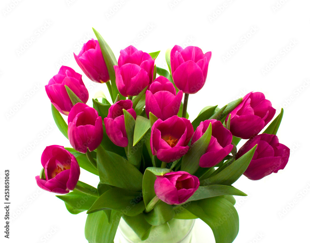 bouquet of fresh tulips isolated on white background