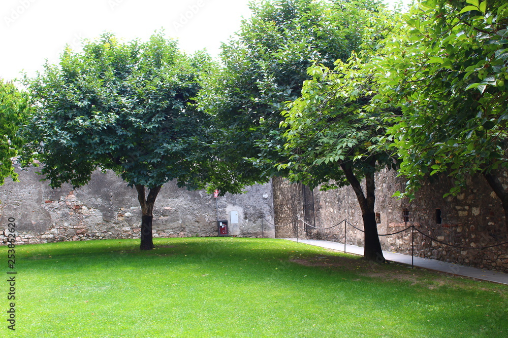 Fototapeta premium TRENTO