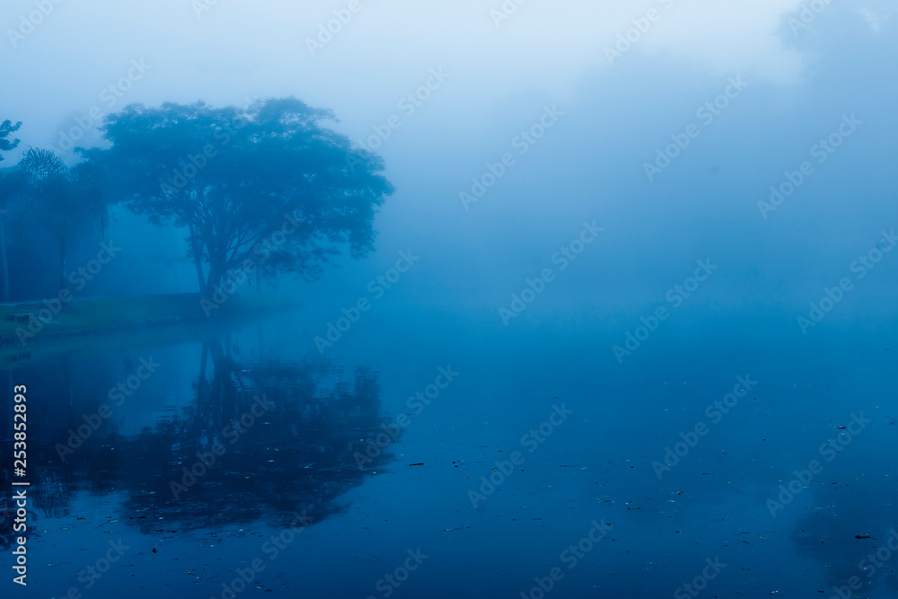 lagofogblue lagofogblue