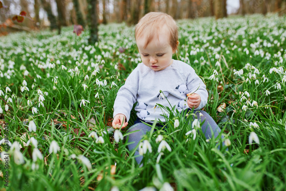 One year old baby girl sitting on the grass with many snowdrop flowers One year old baby girl sitting on the grass with many snowdrop flowers