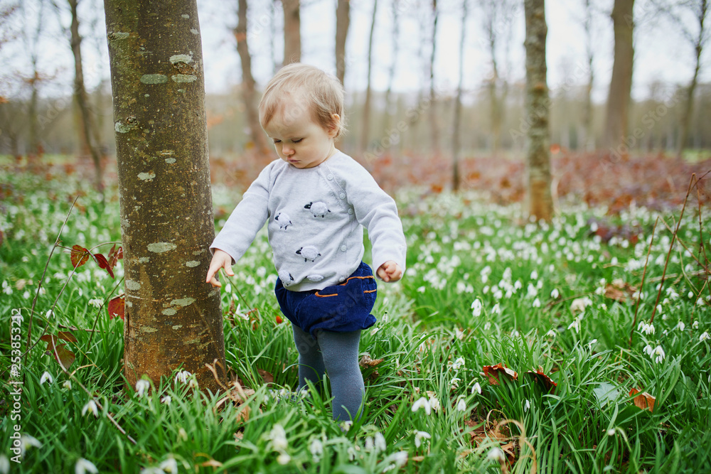 one year old baby girl standing by a tree in park or forest with many snowdrop flowers one year old baby girl standing by a tree in park or forest with many snowdrop flowers