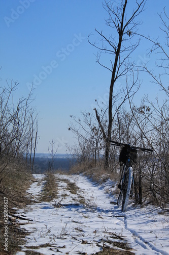 lake in winter