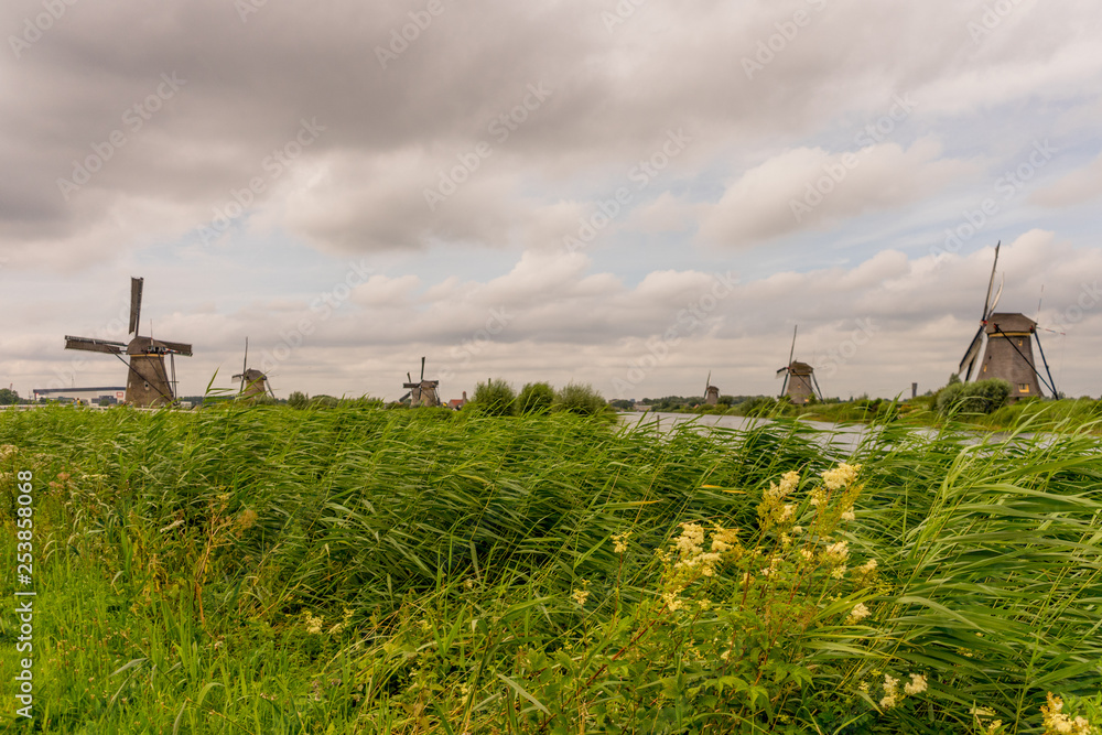 Netherlands, Rotterdam, Kinderdijk, heritage windmill above lush green grass along a canal
