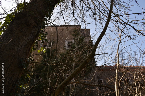 Hotel, Triest, Obelisco, Italien, geschlossen, gesperrt, verlassen, verfallen, Fenster, Fensterflügel, Wand, Mauer, verwachsen, Laub, Park, Hotelpark, verwildert, Stiege, Stufen, Blatt, Etage, Napoleo photo