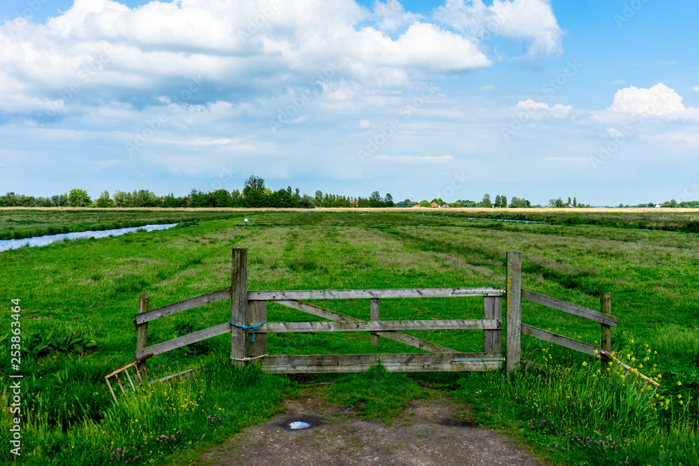 Netherlands, Zaanse Schans, a wooden bench sitting on top of a lush green field Netherlands, Zaanse Schans, a wooden bench sitting on top of a lush green field