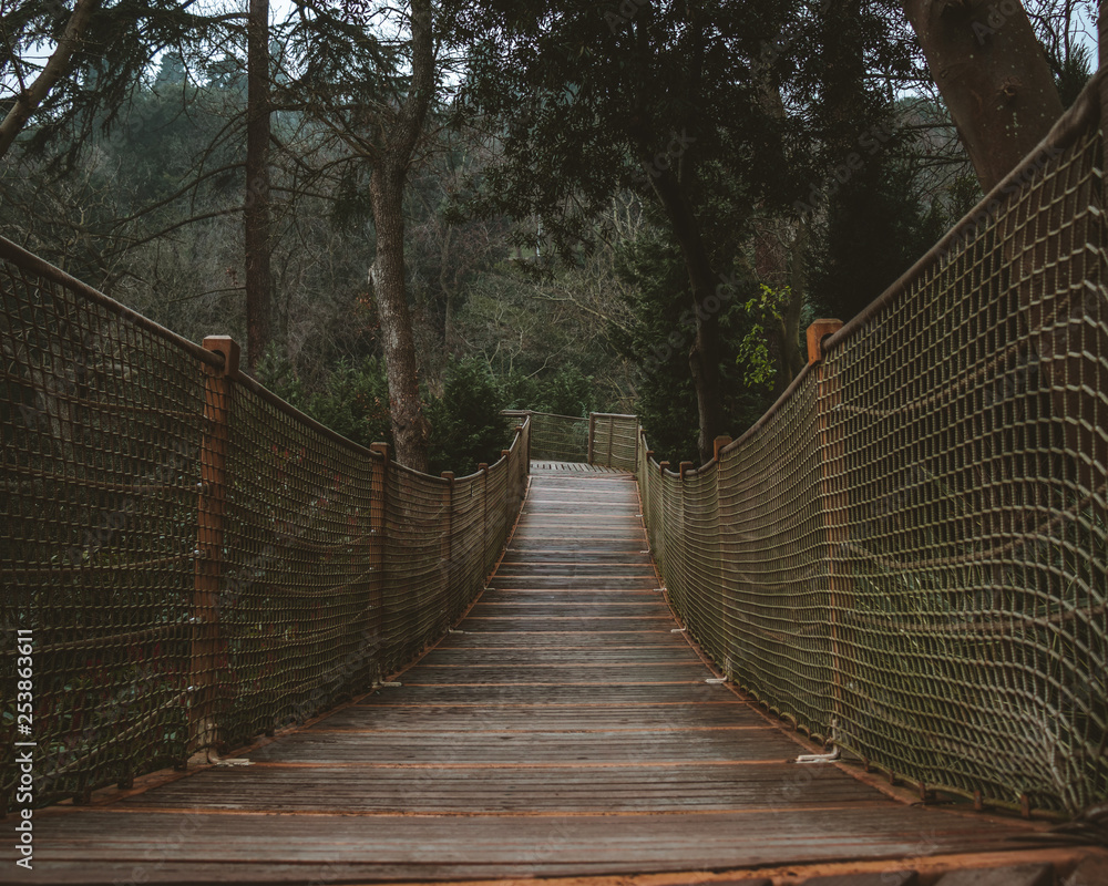 Fototapeta premium Bridge