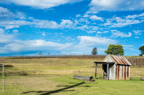 Australia, New South Wales, vine region of Hunter valley photo