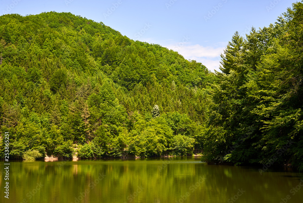 Lake in deep forest Lake in deep forest