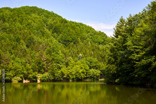 Lake in deep forest