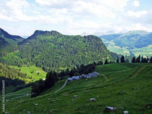 Trees and evergreen forests of the slopes of Alpstein mountain range and in the river Thur valley - Cantons of St. Gallen and Appenzell Innerrhoden, Switzerland photo