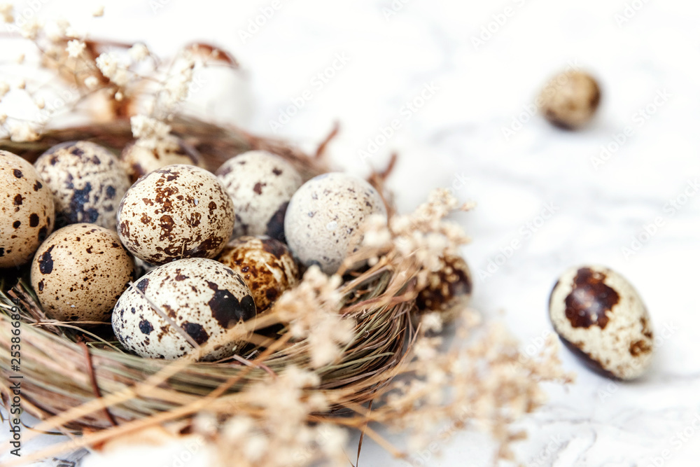 Easter decoration with egg in nest and cotton on white marble background. Easter concept. Flat lay top view copy space. Spring greeting card Easter decoration with egg in nest and cotton on white marble background. Easter concept. Flat lay top view copy space. Spring greeting card