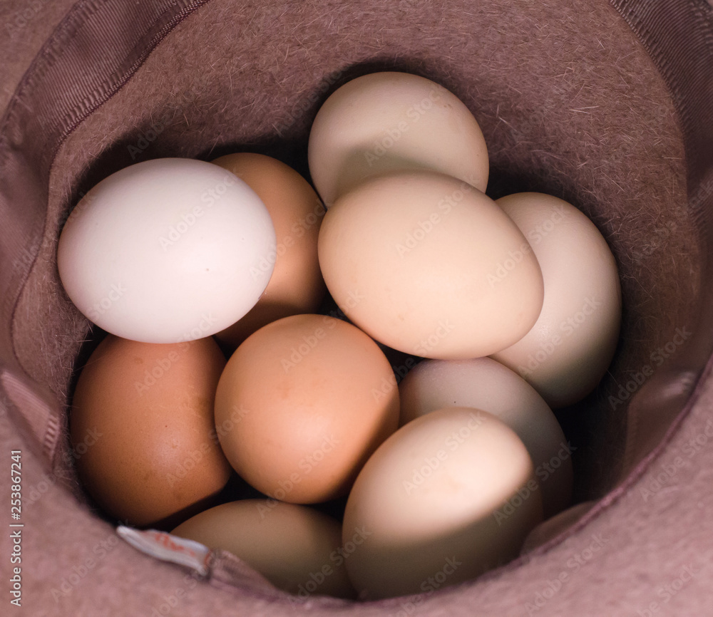 Eggs, quail, different colors, as food, as the birth of a new life, as a valuable product, as foodeggs are different, white, colored, speckled chicken, speckled Eggs, quail, different colors, as food, as the birth of a new life, as a valuable product, as foodeggs are different, white, colored, speckled chicken, speckled