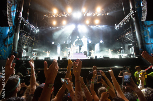 crowd at the concert