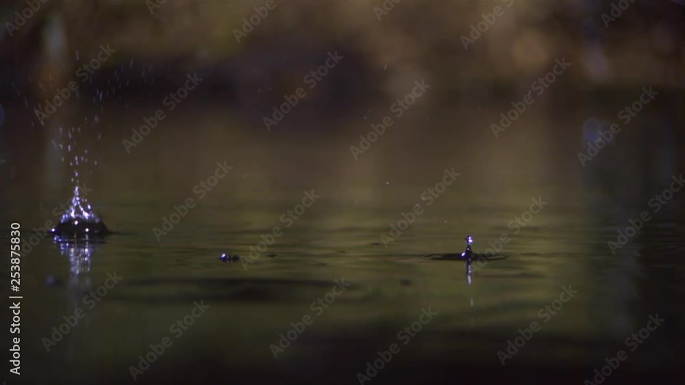 raindrops on water raindrops on water
