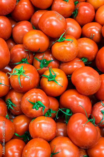 Ton of Organic Tomatoes Background