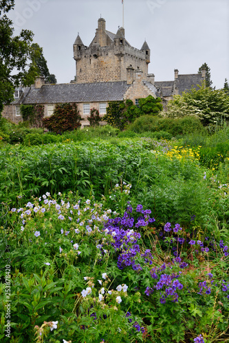 Wet Flower Garden with lush perennial flowers south of Cawdor Castle after rainfall in Cawdor Nairn Scotland UK photo