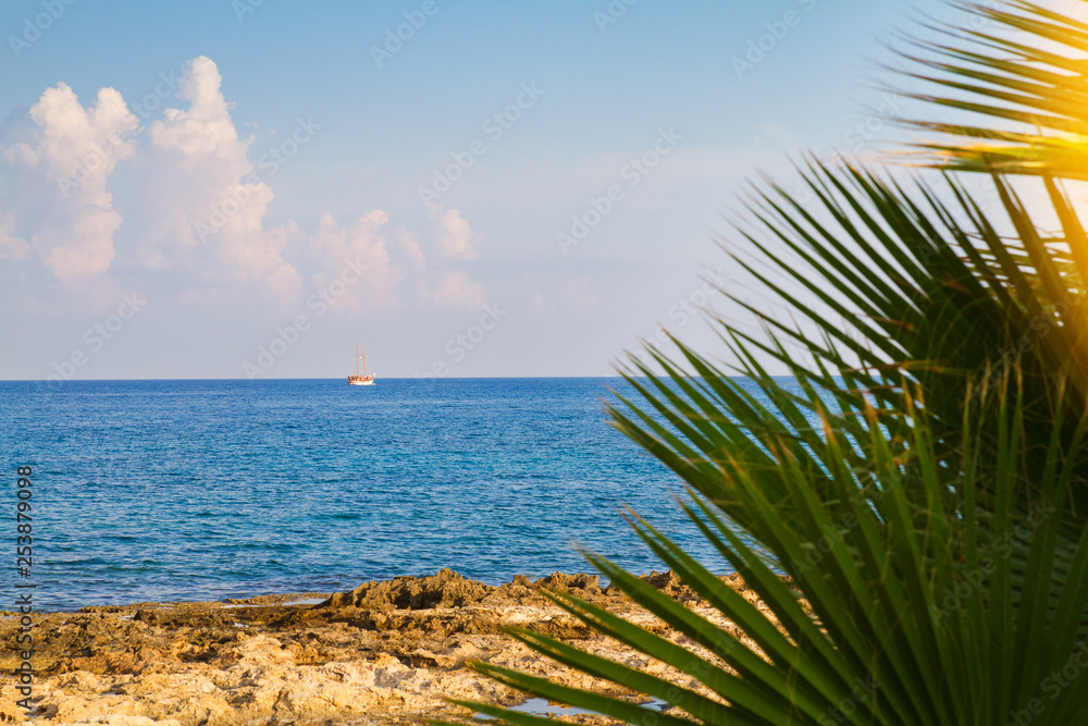 Abstract beach background - blue sky and sea at shadows of palm tree. Copy space, summer vacation concept. Sea beach relax, outdoor travel - Image