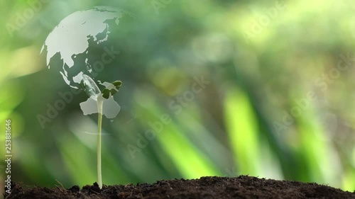 Planting a tree and the earth rotation hologram for save the earth and natural , clean ecology in natural.