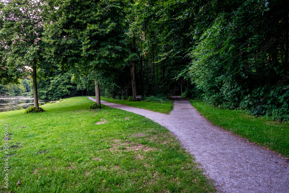 Fork of a muddy path into two at Haagse Bos, forest in The Hague