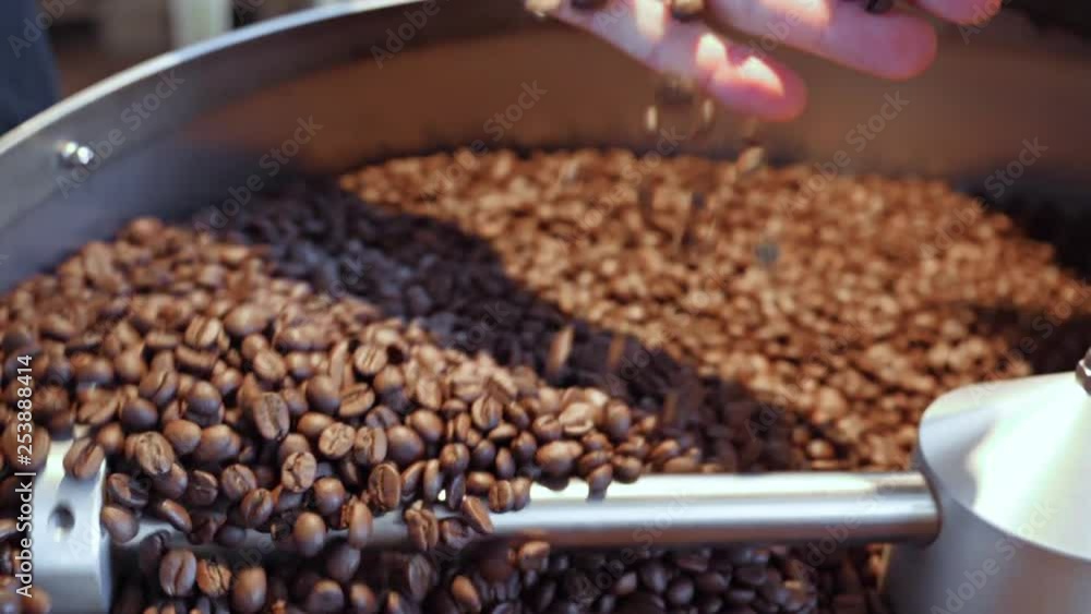Coffee beans falling from hand in a coffee roaster's drum. Coffee beans falling from hand in a coffee roaster's drum.