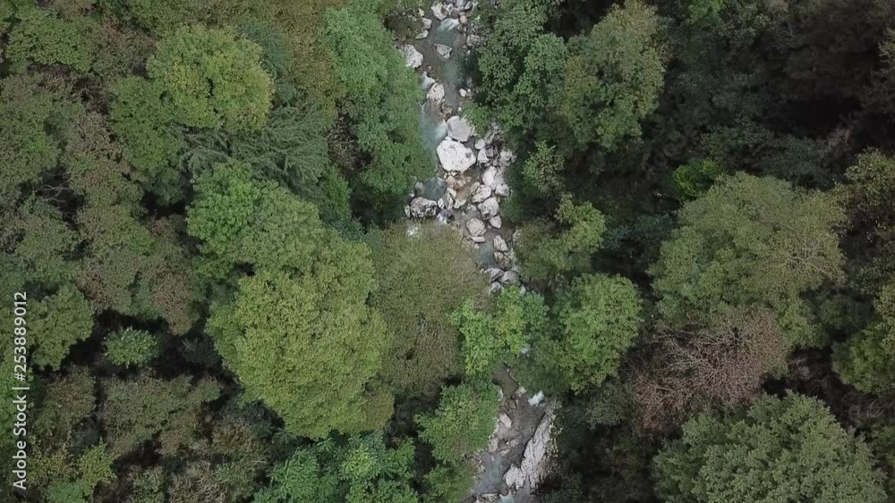 Mountain river surrounded by green trees. Top view of the forest and the river. Beautiful stones by the river. Mountain river surrounded by green trees. Top view of the forest and the river. Beautiful stones by the river.