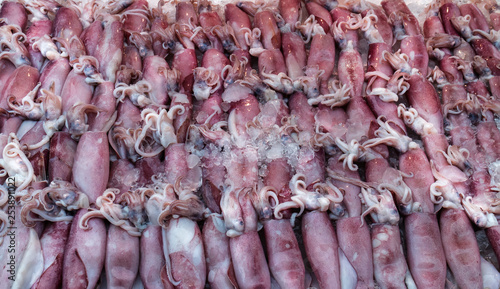 Many  fresh squid lay on ice