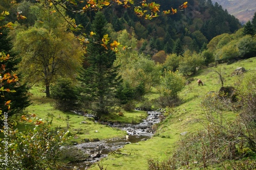 Ruisseau Vallée Lesponne