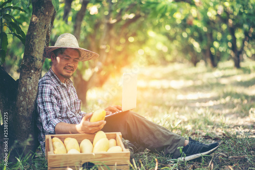 young smart farmer working with tablet in mango orchard, Agricultural bisiness concept photo