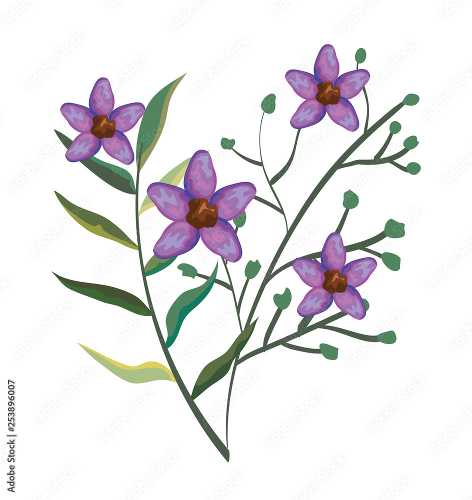 flowers plants with exotic leaves design