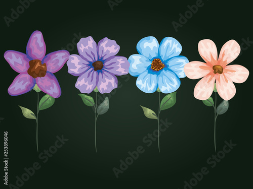 natural flowers with petals style and leaves